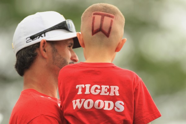 Tiger fan and son 600